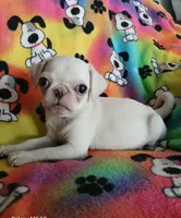 processed/478b2bd6-edd3-4d66-8b93-91529ff47f8b/listing/01689f3c-2079-4e8f-a1e5-62359b763a5a/c078d317-1e67-4627-bf0b-bbbb999e64a9