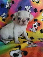 processed/478b2bd6-edd3-4d66-8b93-91529ff47f8b/listing/01689f3c-2079-4e8f-a1e5-62359b763a5a/e180281a-1bb2-4d76-85da-c0d1af7176d9