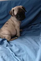 processed/478b2bd6-edd3-4d66-8b93-91529ff47f8b/listing/0bdd1d45-c426-40d2-b64f-56bf74f771ea/4b837608-4461-4439-bb4d-3f418732c493