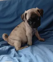 processed/478b2bd6-edd3-4d66-8b93-91529ff47f8b/listing/0bdd1d45-c426-40d2-b64f-56bf74f771ea/9443dbba-59a5-428c-bd76-f1438b31864c