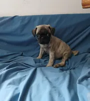 processed/478b2bd6-edd3-4d66-8b93-91529ff47f8b/listing/0bdd1d45-c426-40d2-b64f-56bf74f771ea/db6561b9-a67b-4d2f-8b56-6c1ce946ecf7