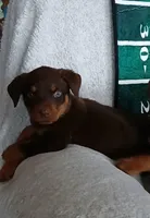 processed/478b2bd6-edd3-4d66-8b93-91529ff47f8b/listing/17133ade-c1ca-466a-9beb-852277c26364/ebddd21d-845e-4d87-a423-9169275c5f35