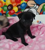 processed/478b2bd6-edd3-4d66-8b93-91529ff47f8b/listing/37366c71-3231-4810-9115-9fbf633d8b85/82ec959b-901d-4620-8142-2f3777016dc5