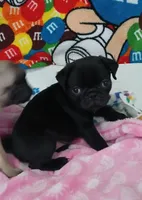 processed/478b2bd6-edd3-4d66-8b93-91529ff47f8b/listing/37366c71-3231-4810-9115-9fbf633d8b85/a32200d2-edc6-46d2-a910-bff413456e9c