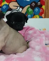 processed/478b2bd6-edd3-4d66-8b93-91529ff47f8b/listing/37366c71-3231-4810-9115-9fbf633d8b85/a3707dce-7693-4963-b436-632479c575f9