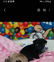 processed/478b2bd6-edd3-4d66-8b93-91529ff47f8b/listing/37366c71-3231-4810-9115-9fbf633d8b85/fb27ee73-cbca-42cd-b8b8-1904aeabce4f