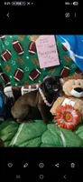 Venus, a female Pug for sale in Bay City, MI – 1 of 9