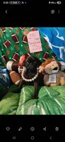 Venus, a female Pug for sale in Bay City, MI – 7 of 9