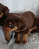 processed/478b2bd6-edd3-4d66-8b93-91529ff47f8b/listing/70eb12f4-2bf4-4216-917e-9ae88721473c/73db5923-a597-4e68-9088-68f7a993d7e2