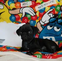 processed/478b2bd6-edd3-4d66-8b93-91529ff47f8b/listing/9e36cd1e-0794-4690-95da-cfc40c9bd30e/d876f2bc-c265-4d46-8dd5-dd88fc101db7