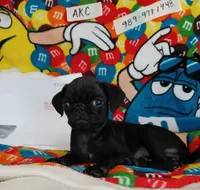 processed/478b2bd6-edd3-4d66-8b93-91529ff47f8b/listing/9e36cd1e-0794-4690-95da-cfc40c9bd30e/ddd38cda-cc93-4603-9070-8772d2c1fd5d