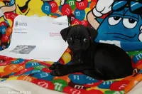 processed/478b2bd6-edd3-4d66-8b93-91529ff47f8b/listing/9e36cd1e-0794-4690-95da-cfc40c9bd30e/ff345182-efd4-48f3-a0ab-34d4247c95eb