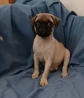 processed/478b2bd6-edd3-4d66-8b93-91529ff47f8b/listing/af55578d-d5f8-4f60-a53f-c7af359cb062/72143250-1950-4d9b-9b65-ca0c37e61fec