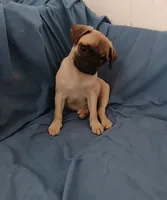 processed/478b2bd6-edd3-4d66-8b93-91529ff47f8b/listing/af55578d-d5f8-4f60-a53f-c7af359cb062/8e32906b-1565-4778-abdf-27ae7d8b948a