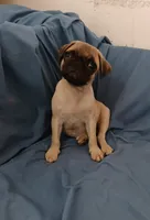 processed/478b2bd6-edd3-4d66-8b93-91529ff47f8b/listing/af55578d-d5f8-4f60-a53f-c7af359cb062/9067f99a-caa6-4c43-a2db-684a27e91231