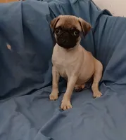 processed/478b2bd6-edd3-4d66-8b93-91529ff47f8b/listing/af55578d-d5f8-4f60-a53f-c7af359cb062/aa95b110-11fe-40a7-8e01-80ee68690f81