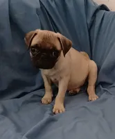 processed/478b2bd6-edd3-4d66-8b93-91529ff47f8b/listing/af55578d-d5f8-4f60-a53f-c7af359cb062/c127e8fe-3503-45f1-a8cd-1c6b515a48b1