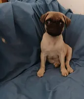 processed/478b2bd6-edd3-4d66-8b93-91529ff47f8b/listing/af55578d-d5f8-4f60-a53f-c7af359cb062/cb721d37-55c4-415c-9739-aaffd78f9d14