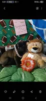 Venus, a female Pug for sale in Bay City, MI – 4 of 9