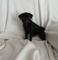 processed/478b2bd6-edd3-4d66-8b93-91529ff47f8b/listing/c5c07462-9008-4a4e-aa8f-ecf8db7131df/5e13def0-725e-4505-9c7b-dd0526f96123