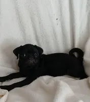 processed/478b2bd6-edd3-4d66-8b93-91529ff47f8b/listing/c5c07462-9008-4a4e-aa8f-ecf8db7131df/67ca1d7d-ce4a-4504-bdc9-86ac0bdba35c