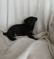 processed/478b2bd6-edd3-4d66-8b93-91529ff47f8b/listing/c5c07462-9008-4a4e-aa8f-ecf8db7131df/b8738df6-baa1-4ec6-b36b-6071376b7c9b