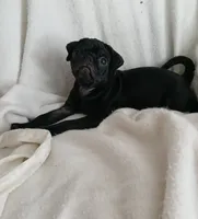 processed/478b2bd6-edd3-4d66-8b93-91529ff47f8b/listing/c5c07462-9008-4a4e-aa8f-ecf8db7131df/dc3feefc-4dd3-40ba-bf76-7f037fc4e4de