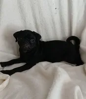 processed/478b2bd6-edd3-4d66-8b93-91529ff47f8b/listing/c5c07462-9008-4a4e-aa8f-ecf8db7131df/dfbcb56b-abc7-43b2-9ed8-da126a812aaf