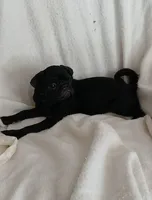 processed/478b2bd6-edd3-4d66-8b93-91529ff47f8b/listing/c5c07462-9008-4a4e-aa8f-ecf8db7131df/e352ec7f-cd56-4362-b29f-7ee804631b3c