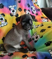 processed/478b2bd6-edd3-4d66-8b93-91529ff47f8b/listing/d7a0da8f-c8ad-4df0-a6f1-e06301a0dd13/0222257b-955c-442f-8449-a0b59656d032