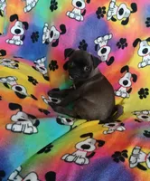 processed/478b2bd6-edd3-4d66-8b93-91529ff47f8b/listing/d7a0da8f-c8ad-4df0-a6f1-e06301a0dd13/160dcbc3-6c8e-4f21-9742-5b4f59facb3f