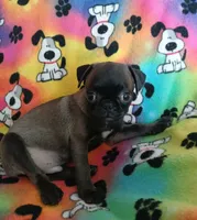 processed/478b2bd6-edd3-4d66-8b93-91529ff47f8b/listing/d7a0da8f-c8ad-4df0-a6f1-e06301a0dd13/2d1dc507-817f-498b-8933-8f4e503aee4e