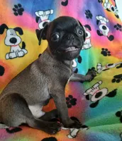 processed/478b2bd6-edd3-4d66-8b93-91529ff47f8b/listing/d7a0da8f-c8ad-4df0-a6f1-e06301a0dd13/2f01ac6d-30c8-4717-ab5d-6bf28fb339ce