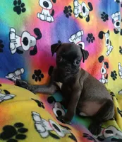 processed/478b2bd6-edd3-4d66-8b93-91529ff47f8b/listing/d7a0da8f-c8ad-4df0-a6f1-e06301a0dd13/b5900c13-6d85-4d5e-b73a-68b25fbb00bd