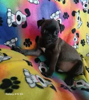 processed/478b2bd6-edd3-4d66-8b93-91529ff47f8b/listing/d7a0da8f-c8ad-4df0-a6f1-e06301a0dd13/d78ea9c1-893d-4b22-9534-745f73b05546