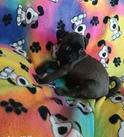 processed/478b2bd6-edd3-4d66-8b93-91529ff47f8b/listing/d7a0da8f-c8ad-4df0-a6f1-e06301a0dd13/d893ebf9-5596-471e-9045-8653c9b16725