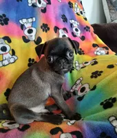 processed/478b2bd6-edd3-4d66-8b93-91529ff47f8b/listing/d7a0da8f-c8ad-4df0-a6f1-e06301a0dd13/f58fbb38-66ca-4dd3-9043-629471131fe9