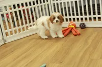 processed/478e0625-a61e-4667-8eb8-9f62e754dc14/listing/0f98c7dc-d26c-44f7-8b2b-5a5216dce9e1/2804f131-6014-470b-a9cf-7f06c9535224