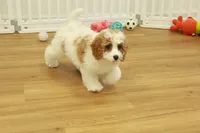 processed/478e0625-a61e-4667-8eb8-9f62e754dc14/listing/0f98c7dc-d26c-44f7-8b2b-5a5216dce9e1/3cff769f-b2dd-4382-bb77-46268ac6491b