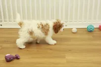 processed/478e0625-a61e-4667-8eb8-9f62e754dc14/listing/0f98c7dc-d26c-44f7-8b2b-5a5216dce9e1/4b15efd8-498e-49c5-a893-1f6c936ac21c