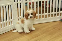 processed/478e0625-a61e-4667-8eb8-9f62e754dc14/listing/0f98c7dc-d26c-44f7-8b2b-5a5216dce9e1/796a9b47-e05b-4a2b-a59f-8660b7d68d0a