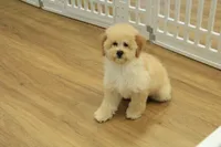 processed/478e0625-a61e-4667-8eb8-9f62e754dc14/listing/287209c3-ee54-4084-84d7-f91a7b6cbaab/46eca140-6ce4-4aeb-9a38-8d184a5d8437