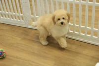 processed/478e0625-a61e-4667-8eb8-9f62e754dc14/listing/287209c3-ee54-4084-84d7-f91a7b6cbaab/48de59f6-fdb7-441e-bed5-ff40294184a6