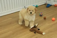 processed/478e0625-a61e-4667-8eb8-9f62e754dc14/listing/287209c3-ee54-4084-84d7-f91a7b6cbaab/4bc1b4dc-dcf6-48f2-864e-f7504251ede6