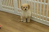 processed/478e0625-a61e-4667-8eb8-9f62e754dc14/listing/287209c3-ee54-4084-84d7-f91a7b6cbaab/6bea67af-3d47-468f-b293-5b656d67dced