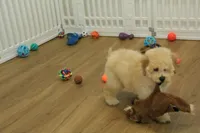 processed/478e0625-a61e-4667-8eb8-9f62e754dc14/listing/287209c3-ee54-4084-84d7-f91a7b6cbaab/8b40093c-9f9c-43fd-a70d-1461e4e43ea8