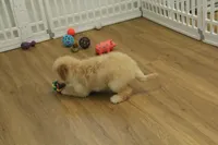 processed/478e0625-a61e-4667-8eb8-9f62e754dc14/listing/287209c3-ee54-4084-84d7-f91a7b6cbaab/9c3bed56-5cd3-4765-8183-67641188b902