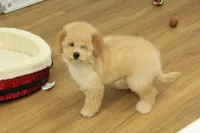 processed/478e0625-a61e-4667-8eb8-9f62e754dc14/listing/287209c3-ee54-4084-84d7-f91a7b6cbaab/a92f2f81-2977-4e5d-9bf6-1f9e5c2cae92