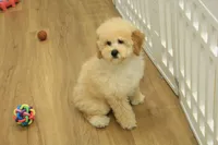 processed/478e0625-a61e-4667-8eb8-9f62e754dc14/listing/287209c3-ee54-4084-84d7-f91a7b6cbaab/b1a9346c-2452-48f1-baf4-7fddf6e591ba