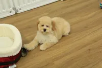 processed/478e0625-a61e-4667-8eb8-9f62e754dc14/listing/287209c3-ee54-4084-84d7-f91a7b6cbaab/dc949221-3a6b-4fd3-a789-88f81240fba4